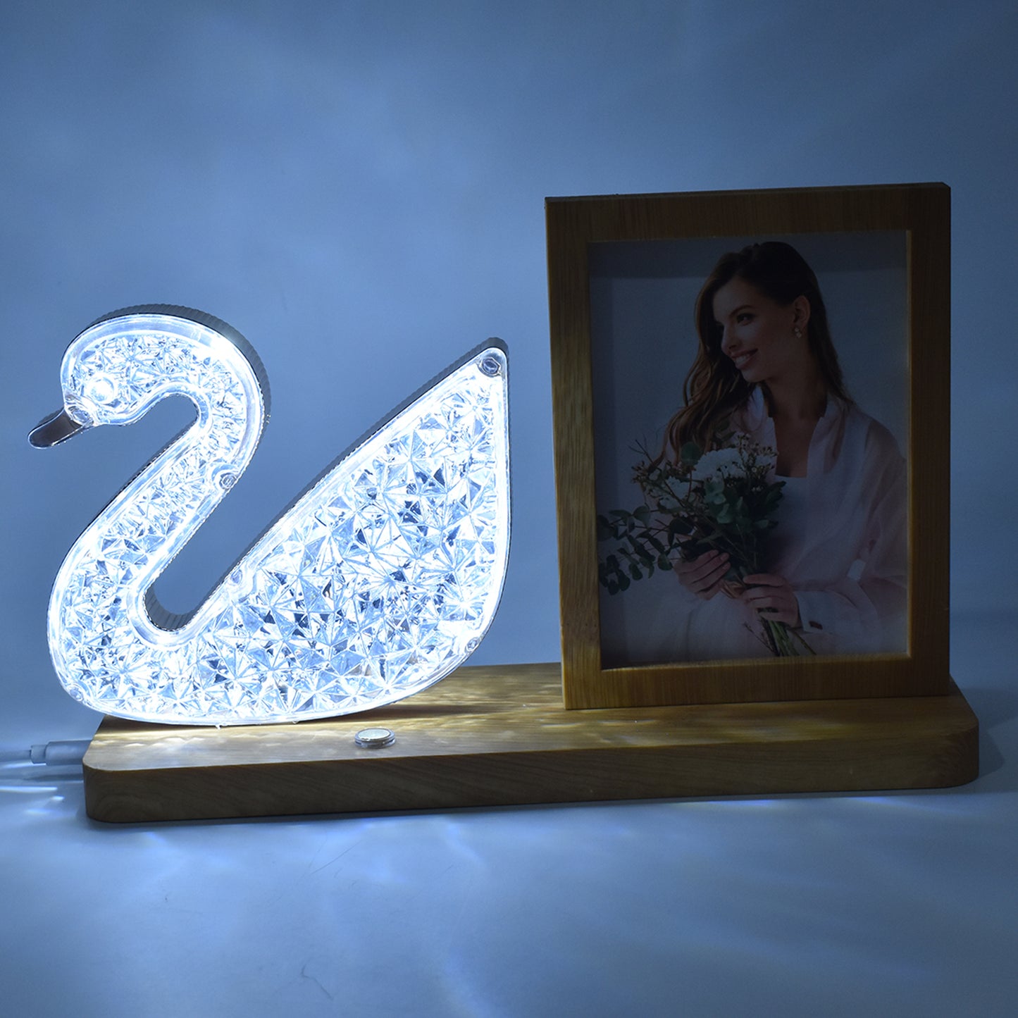 Duck Shape Crystal LED Lamp & Photo Frame