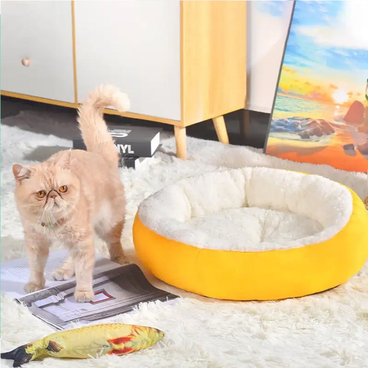 Pet Dog & Cat Bed General Thickening (1 Pc / Mix Design & Colour)