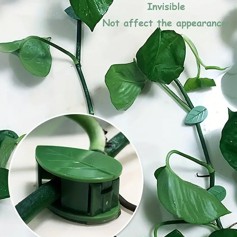 Plant Climbing Wall Fixture Clip (30 Pcs Set)