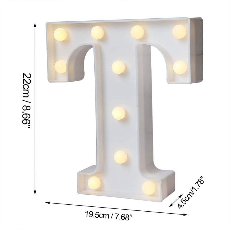Decorative LED Night