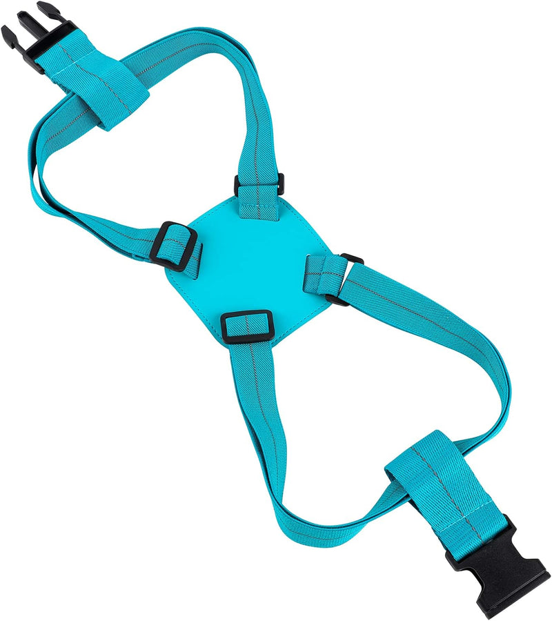 Strap