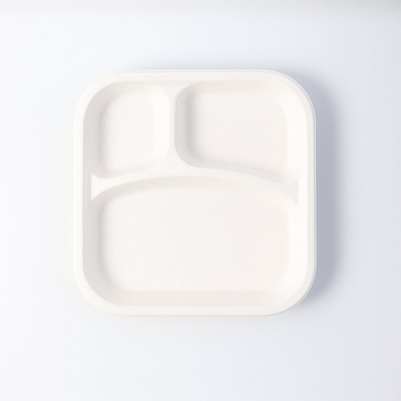 Dinner Plate