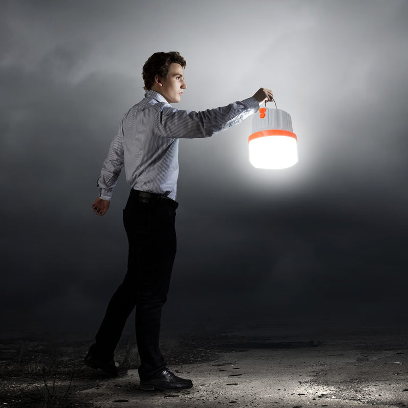 Portable LED Light
