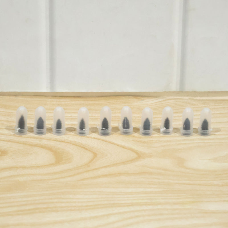 Car  Biketire Puncture Repair Nail Screw (10 Pc Black)