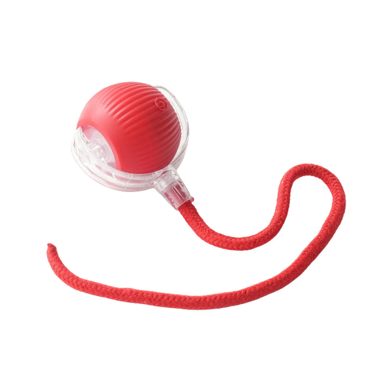 Cat Toy Ball
