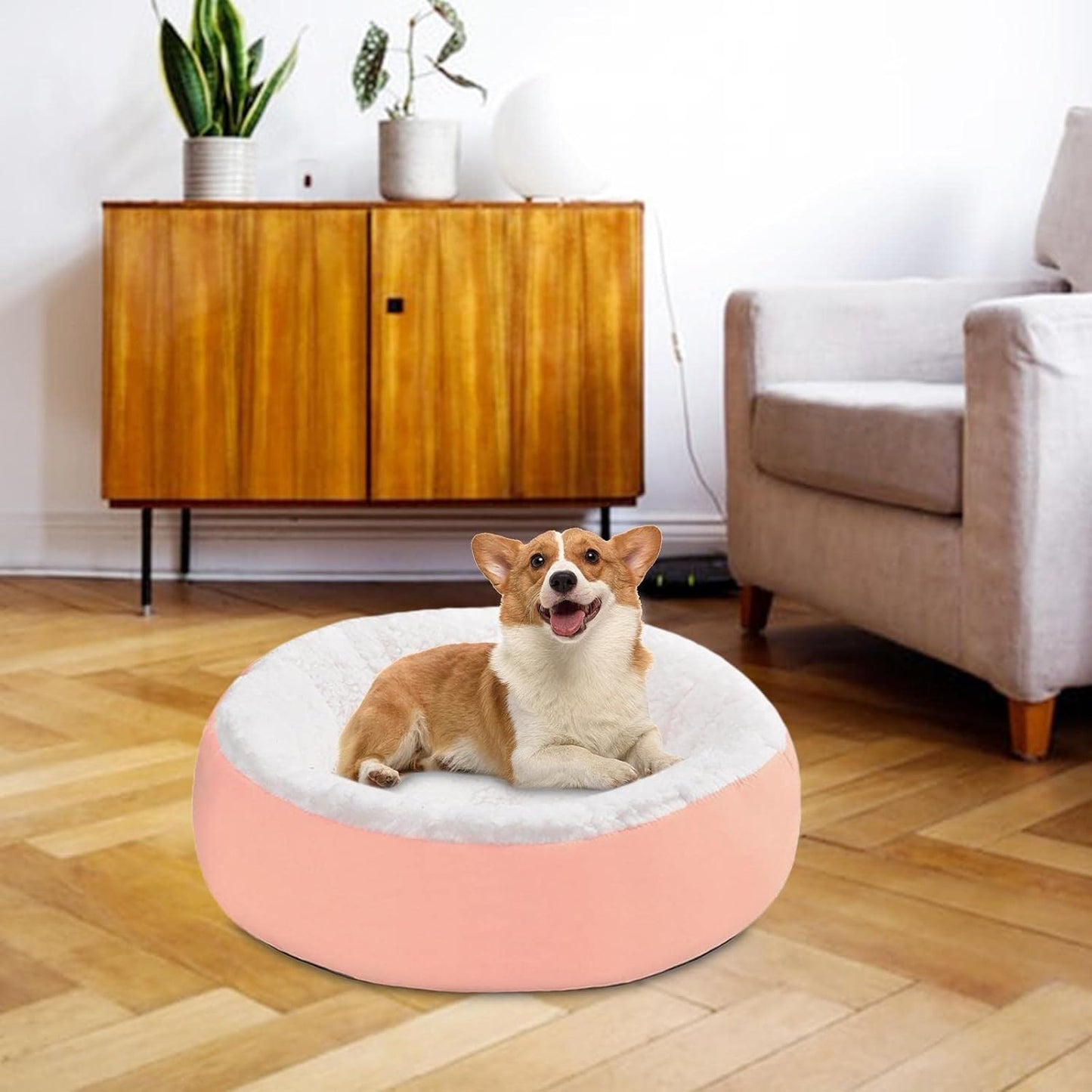 Pet Dog & Cat Bed General Thickening (1 Pc / Mix Design & Colour)