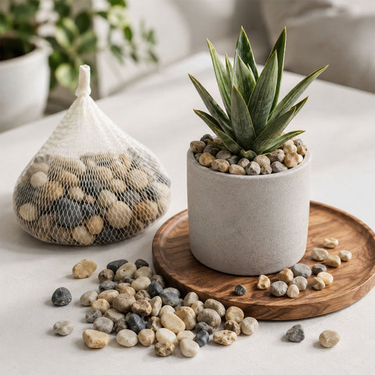Decorative Natural Pebbles Stones For Aquarium Vase Garden And Home Decor (1 Set)