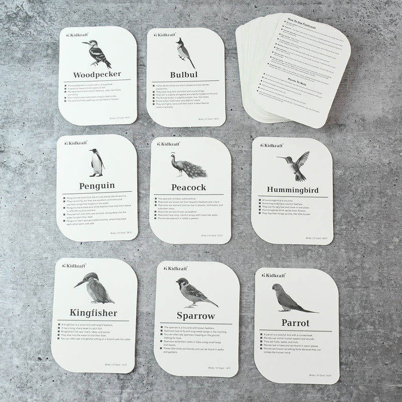 Kidkraft Early Learner Educational Flashcards  32 Birds